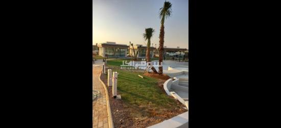 تنسيق حدائق توريد اشجار زينه النخيل - 5