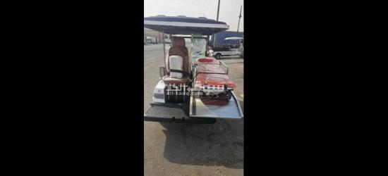 عربات كهربائية قولف كار Golf Car - 4